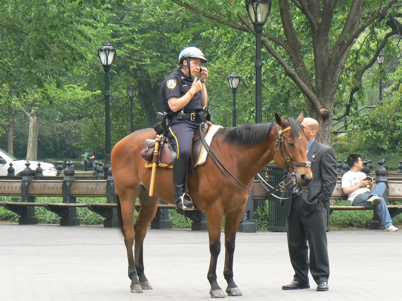 Central Park et autour: Policier dans Central Park